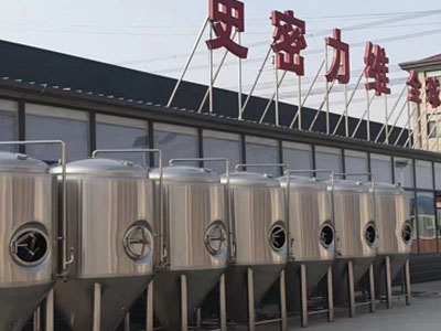 河南精酿啤酒设备厂—如何判断精酿啤酒设备的密封件需要更换？